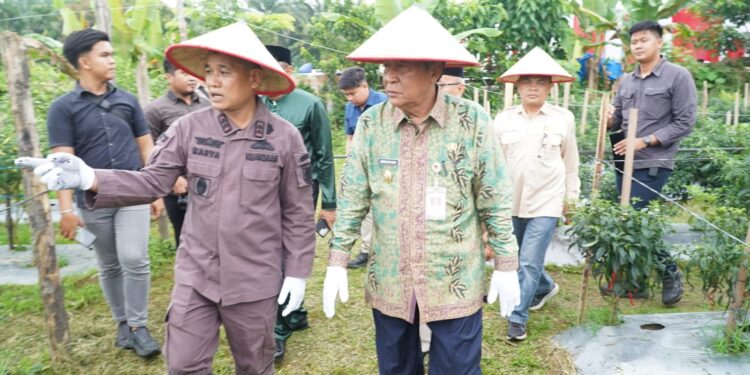Hadiri Panen Jagung, Wagub Sani Dukung Program Perkuat Kedaulatan Pangan Daerah dan Nasional