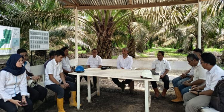 Kebun PTPN IV Regional IV Utamakan Operational Excellence