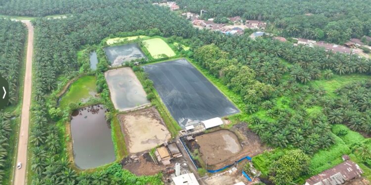 Dua PLTBg Ini Jadi Andalan PalmCo Tekan Biaya Energi di Tengah Gejolak Global