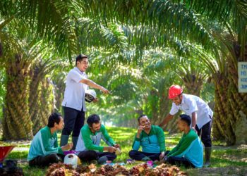 PalmCo Serap 70 Ribu Tenaga Kerja, Bidik Peluang Baru dari Hilirisasi Sawit