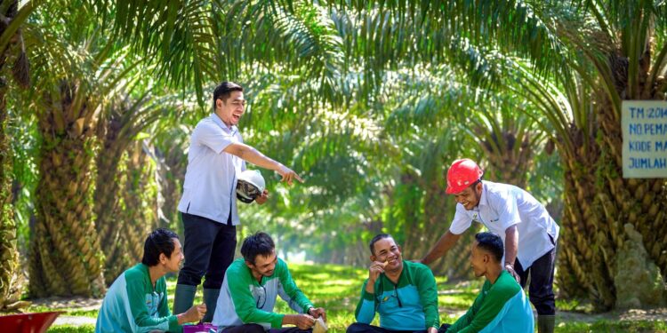 PalmCo Serap 70 Ribu Tenaga Kerja, Bidik Peluang Baru dari Hilirisasi Sawit