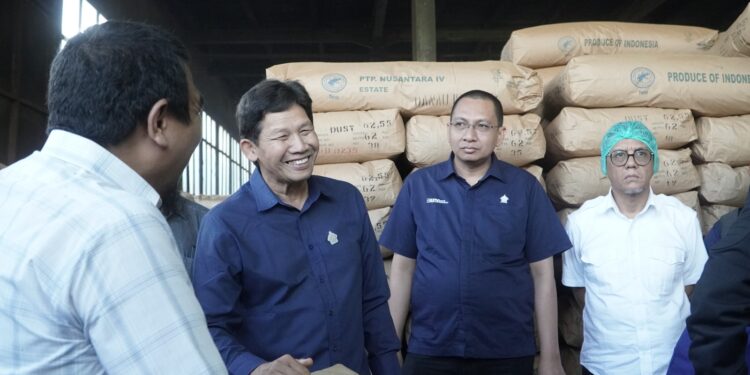 Komisaris PTPN Minta Produksi dan Pemasaran Teh Kayu Aro Ditingkatkan