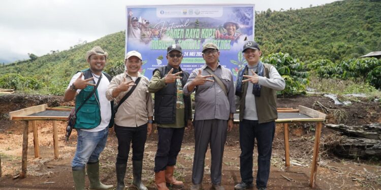 Tembus Jalur Ekstrem, Ariansyah Wakili Gubernur Jambi Panen Kopi di Kerinci