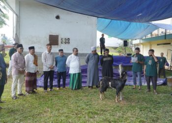 PTPN IV Regional IV Potong 7 Sapi 3 Kambing Kurban