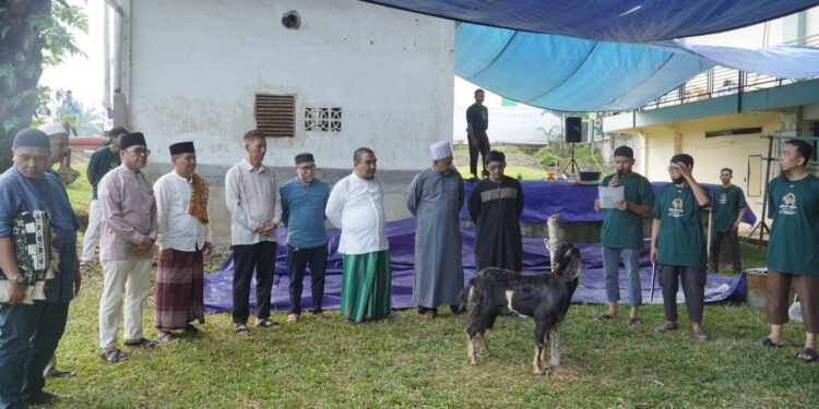 PTPN IV Regional IV Potong 7 Sapi 3 Kambing Kurban