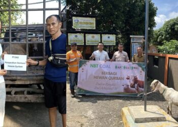PT SAS dan Group Salurkan 40 Hewan Kurban untuk Masyarakat Jambi