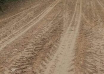 Urat Nadi Ekonomi Berdetak Kembali: PTPN IV Perbaiki 12 Km Jalan Desa, Bawa Harapan Baru bagi 1.750 Keluarga di Muaro Jambi