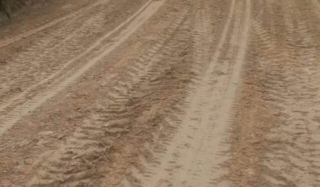 Urat Nadi Ekonomi Berdetak Kembali: PTPN IV Perbaiki 12 Km Jalan Desa, Bawa Harapan Baru bagi 1.750 Keluarga di Muaro Jambi