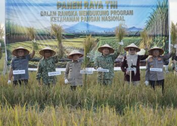 Gubernur Al Haris Hadiri Panen Raya TNI di Desa Kota Baru Geragai, Dukung Ketahanan Pangan