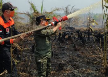 Turun Langsung Padamkan Karhutla di Air Merah, Gubernur Al Haris: Api Sudah 3 Hari, Gambut Sulit Dipadamkan