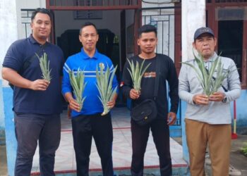 Tingkatkan Pendapatan Warga, PTPN IV Regional IV Salurkan 1.500 Bibit Nanas untuk Dua Desa di Tanjab Timur