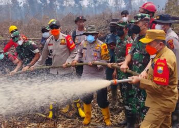 Gubernur Al Haris Bersama Pangdam TIB Turun ke Kawasan Gambut Londerang Padamkan Karhutla