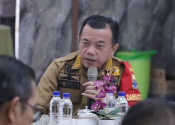 Karhutla Batang Hari Belum Padam, Gubernur Al Haris Perkuat Operasi Darat dan Udara