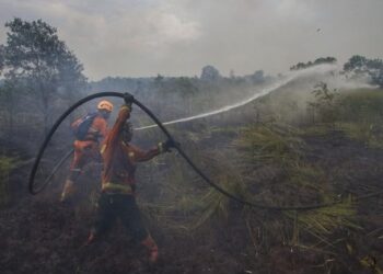 Antisipasi Karhutla, PTPN IV PalmCo Perkuat Deteksi Dini dan Patroli di Sumatera-Kalimantan