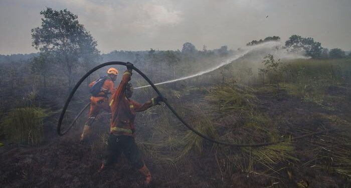 Antisipasi Karhutla, PTPN IV PalmCo Perkuat Deteksi Dini dan Patroli di Sumatera-Kalimantan