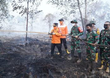 Kawasan Gambut Londerang Kembali Terbakar, Al Haris Turun ke Lokasi dan Uji Zat Pemadam Api Gambut