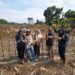 Dukung Kemandirian Pangan Nasional, PTPN IV Regional IV Kebun Tanjung Lebar Sukses Gelar Panen Kedua dan Lanjutkan Penanaman Tahap Ketiga