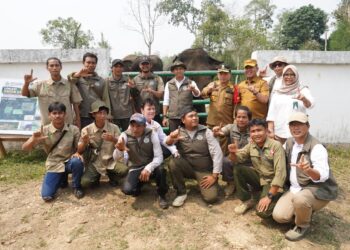 Dampingi Menhut Raja Juli, Al Haris Tinjau Konservasi Gajah dan Hutan Desa di Jambi
