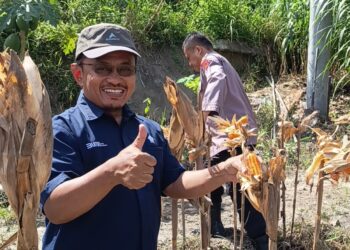 Dukung Kemandirian Pangan Nasional, PTPN IV Regional IV Kebun Tanjung Lebar Sukses Gelar Panen Kedua dan Lanjutkan Penanaman Tahap Ketiga