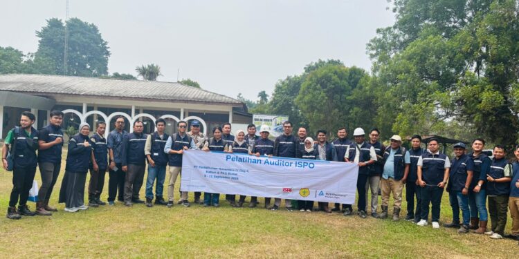Perkuat Tata Kelola Sawit Berkelanjutan, 19 Karyawan PTPN IV Regional IV Lulus Akreditasi Auditor ISPO