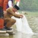 Gubernur Al Haris Restocking 25.000 Benih Ikan Nilem di Lubuk Larangan Danau Sibuk Kabupaten Bungo